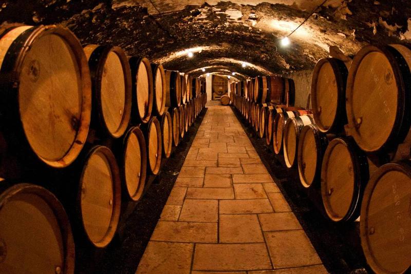 Oak barrels lining a long cellar